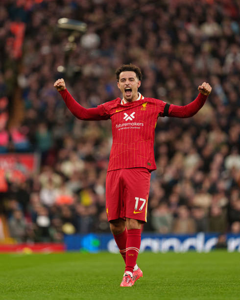 岁锋线新星 岁锋线新星