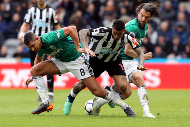 泰山博主 泰山博主